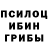 Галлюциногенные грибы Psilocybine cubensis Ava Reych