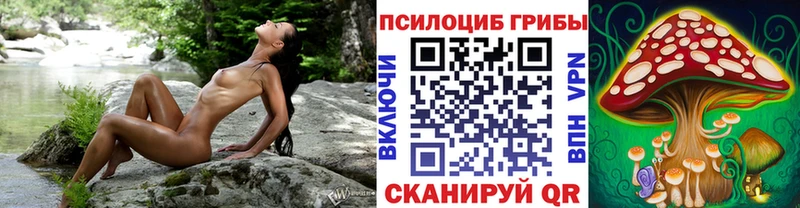 kraken зеркало Богданович Псилоцибиновые грибы Magic Shrooms где купить наркотик