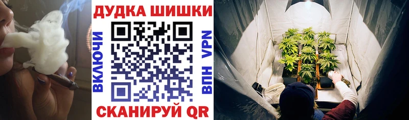 Шишки марихуана гибрид Богданович